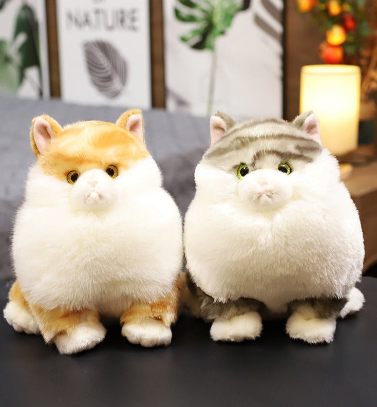 Cat baby toy sales